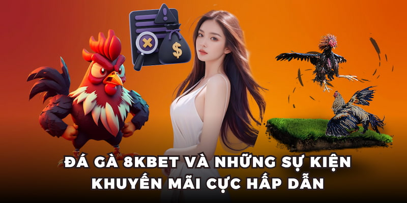 Đá gà 8KBET và những sự kiện khuyến mãi cực hấp dẫn